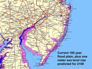 Current 100 year flood plain, plus one meter sea level rise predicted for 2100 