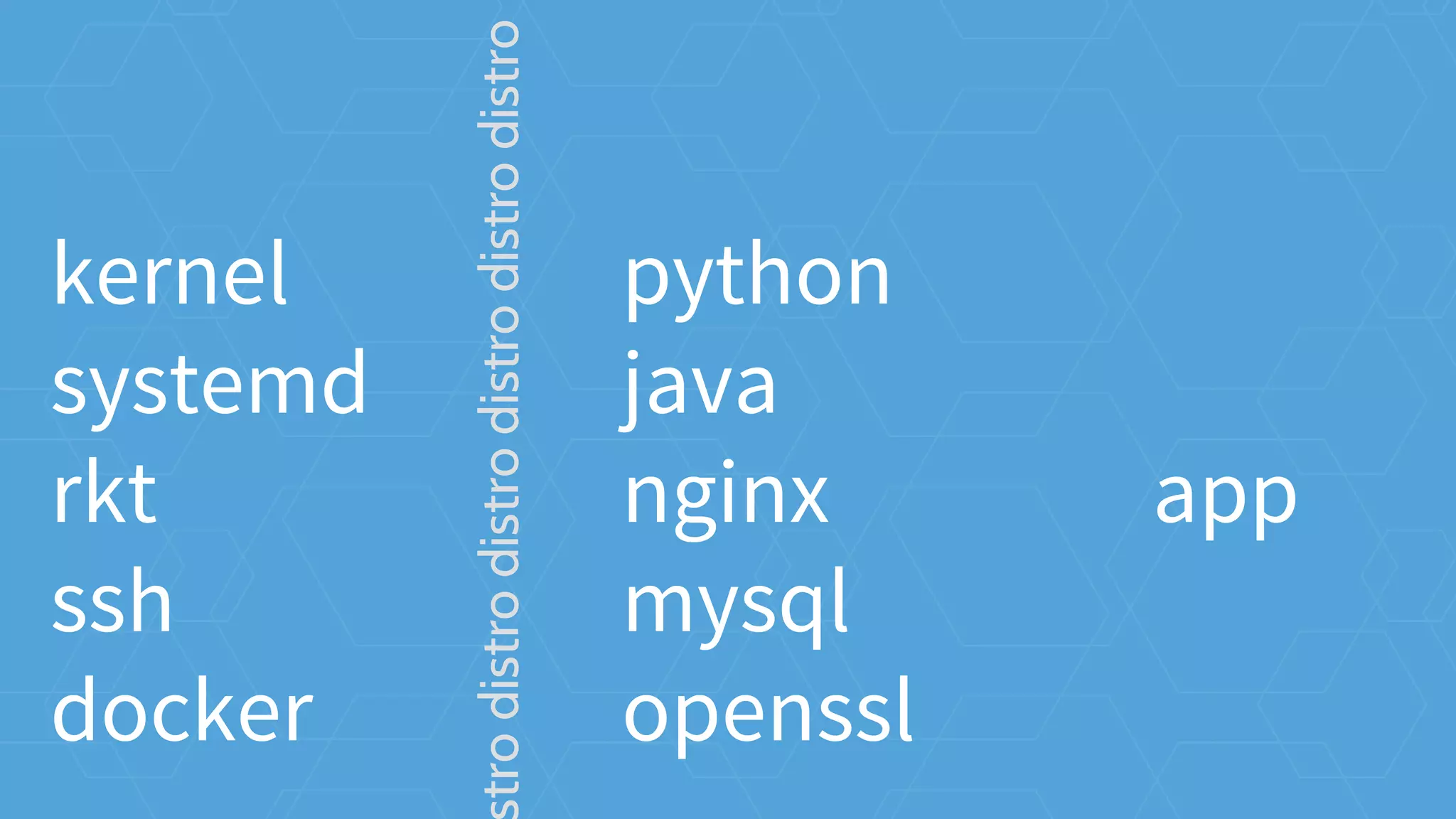 python
java
nginx
mysql
openssl
apptrodistrodistrodistrodistrodistro
kernel
systemd
rkt
ssh
docker
 