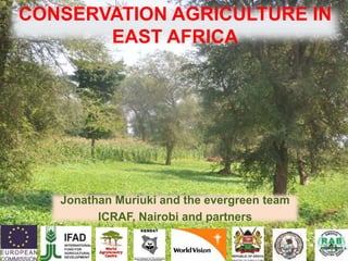 Jonathan Muriuki and the evergreen team
ICRAF, Nairobi and partners
CONSERVATION AGRICULTURE IN
EAST AFRICA
 