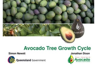 Avocado Tree Growth Cycle
Simon Newett               Jonathan Dixon
 