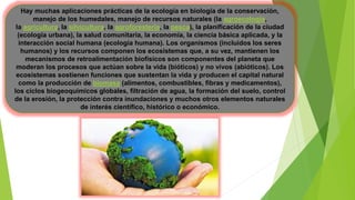 Hay muchas aplicaciones prácticas de la ecología en biología de la conservación,
manejo de los humedales, manejo de recursos naturales (la agroecología,
la agricultura, la silvicultura, la agroforestería, la pesca), la planificación de la ciudad
(ecología urbana), la salud comunitaria, la economía, la ciencia básica aplicada, y la
interacción social humana (ecología humana). Los organismos (incluidos los seres
humanos) y los recursos componen los ecosistemas que, a su vez, mantienen los
mecanismos de retroalimentación biofísicos son componentes del planeta que
moderan los procesos que actúan sobre la vida (bióticos) y no vivos (abióticos). Los
ecosistemas sostienen funciones que sustentan la vida y producen el capital natural
como la producción de biomasa (alimentos, combustibles, fibras y medicamentos),
los ciclos biogeoquímicos globales, filtración de agua, la formación del suelo, control
de la erosión, la protección contra inundaciones y muchos otros elementos naturales
de interés científico, histórico o económico.
 