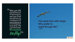 Jonathan Livingston Seagull.pdf