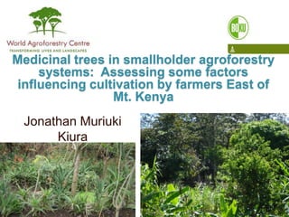 Medicinal trees in smallholder agroforestry systems:  Assessing some factors influencing cultivation by farmers East of Mt. Kenya Jonathan Muriuki Kiura 