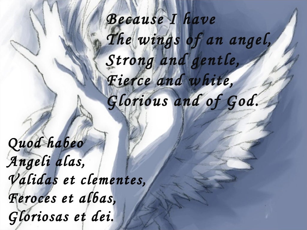 Jonathans Cool Latin Poem About An Angels Wings With Lots Of Particip…
