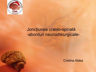 Joncţiunea cranio-spinală
-aborduri neurochirurgicale-




                   Cristina Aldea
 