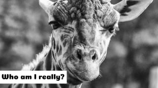 The Scariest 5-Letter Word in Support (S****) by Jon Coon
