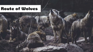 The Scariest 5-Letter Word in Support (S****) by Jon Coon