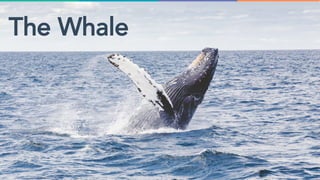 @jondick#INBOUND18
The Whale
 