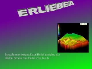 ERLIEBEA 