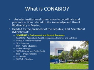 What is CONABIO?
•

An Inter-institutional commission to coordinate and
promote actions related to the knowledge and Use of
Biodiversity in Mexico.
• Headed by the president of the Republic, and Secretariat
(Ministry) of:
– SEMARNAT – Environment and Natural Resources
–
–
–
–
–
–
–
–
–

SAGARPA – Agriculture, Rural Development, Fisheries and Nutrition
SEDESOL – Desarrollo Social
SE – Economy
SEP – Public Education
SENER – Energy
SHCP- Finance and Public Credit
SER – Foreign Relations
SS - Health
SECTUR – Tourism

 
