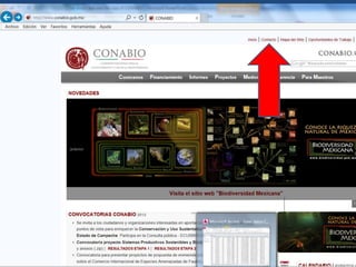 Toequest for specific data bases
• Free to all who request data:
• Simple request to:
servext@conabio.gob.mx
“Dear CONABIO,
I am conducting research on species of
Aphodius (Coleoptera: Scarabaeidae) of North
America …”

 