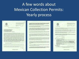 A few words about
Mexican Collection Permits:
Yearly process

 