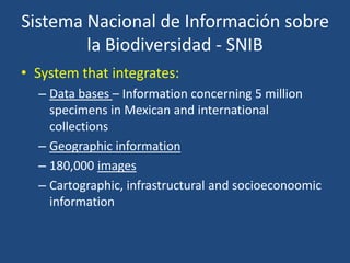 Sistema Nacional de Información sobre
la Biodiversidad - SNIB
• System that integrates:
– Data bases – Information concerning 5 million
specimens in Mexican and international
collections
– Geographic information
– 180,000 images
– Cartographic, infrastructural and socioeconoomic
information

 