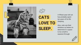 CATS
LOVE TO
SLEEP.
A fifteen-year-old cat
has probably spent
ten years of its life
sleeping.
Also, cats use their
whisker...