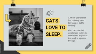 CATS
LOVE TO
SLEEP.
A fifteen-year-old cat
has probably spent
ten years of its life
sleeping.
Also, cats use their
whiskers as feelers to
determine if a space is
too small to squeeze
through.
 