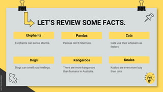 LET’S REVIEW SOME FACTS.
Elephants
Koalas are even more lazy
than cats.
Dogs
Elephants can sense storms.
Cats
Dogs can smell your feelings.
Pandas
Kangaroos Koalas
Pandas don’t hibernate.
There are more kangaroos
than humans in Australia.
Cats use their whiskers as
feelers
 
