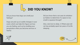 DID YOU KNOW?
Did you know that a cat uses its whiskers
as feelers to determine if a space is too
small to squeeze through?
Also, cats love to sleep. A fifteen-year-old
cat has probably spent ten years of its life
sleeping.
Did you know that dogs can smell your
feelings?
Dogs can pick up on subtle changes in your
scent, which can help him figure out how
you are feeling, such as by smelling your
perspiration when you become nervous or
fearful.
 