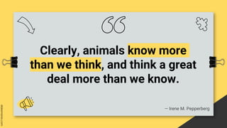 Clearly, animals know more
than we think, and think a great
deal more than we know.
― Irene M. Pepperberg
 