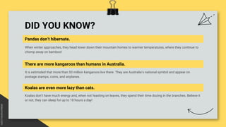 DID YOU KNOW?
Pandas don’t hibernate.
It is estimated that more than 50 million kangaroos live there. They are Australia’s national symbol and appear on
postage stamps, coins, and airplanes.
There are more kangaroos than humans in Australia.
Koalas don’t have much energy and, when not feasting on leaves, they spend their time dozing in the branches. Believe it
or not, they can sleep for up to 18 hours a day!
Koalas are even more lazy than cats.
When winter approaches, they head lower down their mountain homes to warmer temperatures, where they continue to
chomp away on bamboo!
 