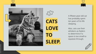 CATS
LOVE
TO
SLEEP.
A fifteen-year-old cat
has probably spent
ten years of its life
sleeping.
Also, cats use their
whiskers as feelers
to determine if a
space is too small to
squeeze through.
 