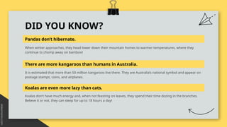 DID YOU KNOW?
Pandas don’t hibernate.
It is estimated that more than 50 million kangaroos live there. They are Australia’s national symbol and appear on
postage stamps, coins, and airplanes.
There are more kangaroos than humans in Australia.
Koalas don’t have much energy and, when not feasting on leaves, they spend their time dozing in the branches.
Believe it or not, they can sleep for up to 18 hours a day!
Koalas are even more lazy than cats.
When winter approaches, they head lower down their mountain homes to warmer temperatures, where they
continue to chomp away on bamboo!
 