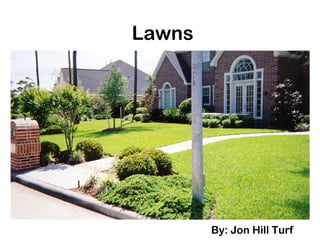 Lawns
By: Jon Hill Turf
 