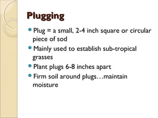 Jon Hill Turf | What is Turf Grass and its Management | PPT