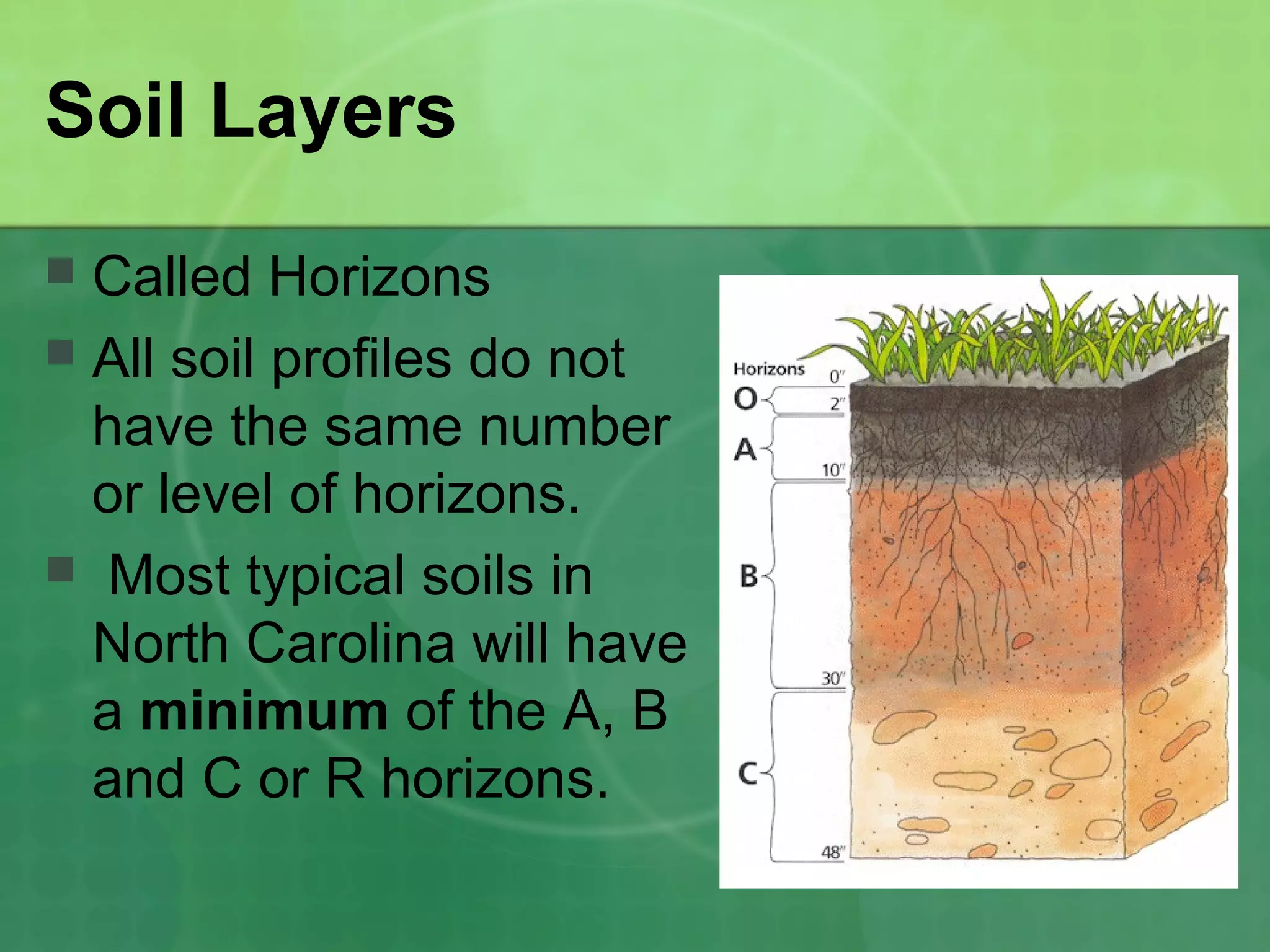 Jon Hill Turf What is Soil Made Up for Growing Turf and Plants PPT