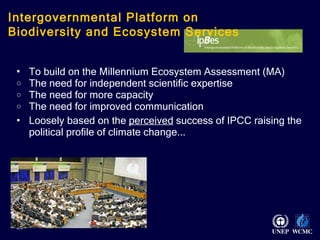 To build on the Millennium Ecosystem Assessment (MA) The need for independent scientific expertise  The need for more capacity The need for improved communication Loosely based on the  perceived  success of IPCC raising the political profile of climate change...   Intergovernmental Platform on Biodiversity and Ecosystem Services 