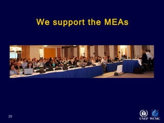 We support the MEAs   