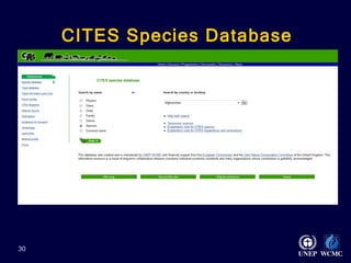 CITES Species Database   