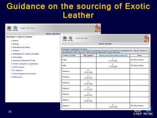 Guidance on the sourcing of Exotic Leather   