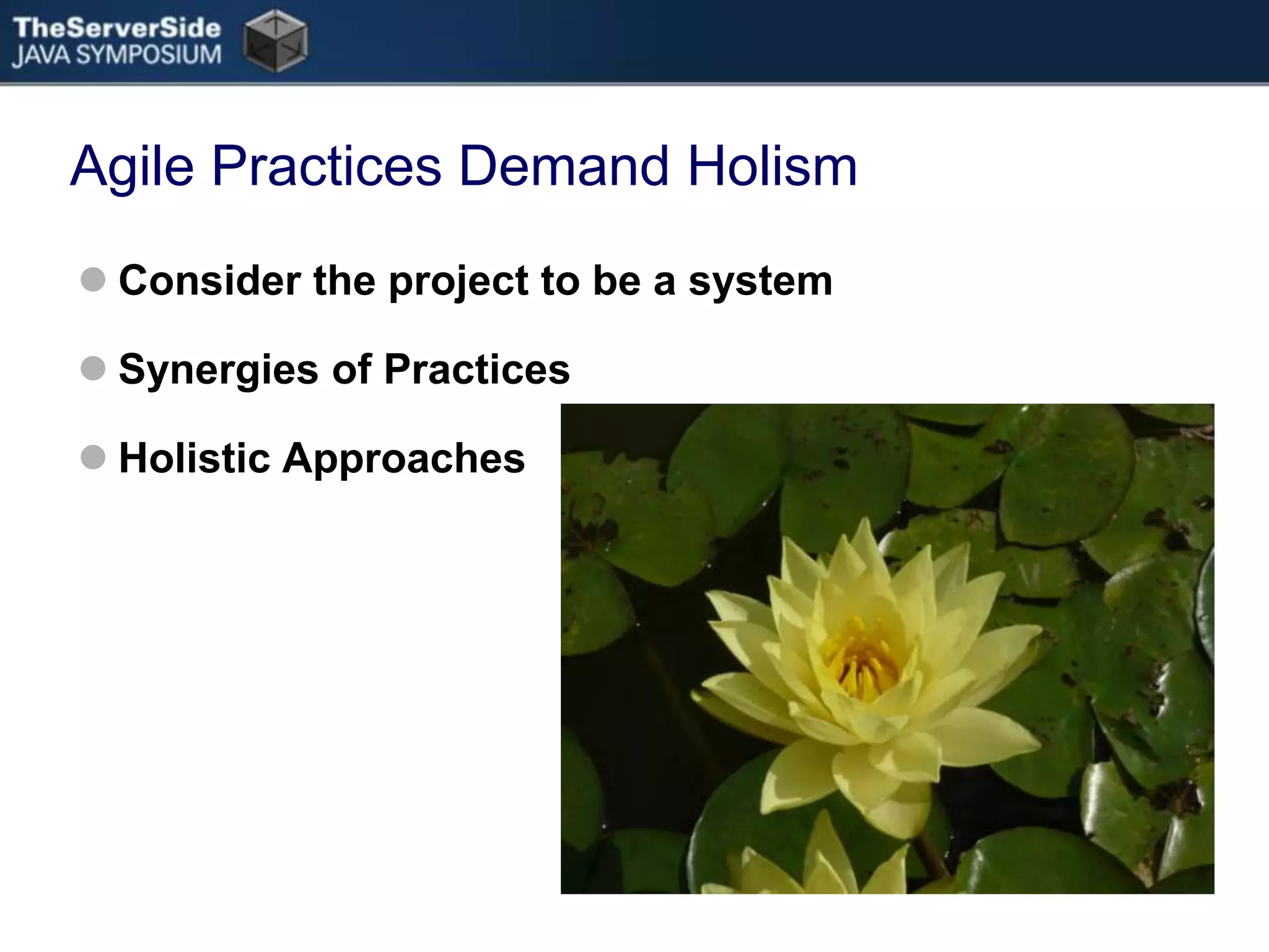 Agile Practices Demand HolismConsider the project to be a systemSynergies of PracticesHolistic Approaches