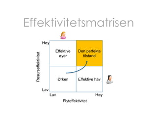Effektivitetsmatrisen
Høy
Den perfekte
tilstand

Ørken

Resurseffektivitet

Effektive
øyer

Effektive hav

Lav
Lav

Høy
Flyteffektivitet

 