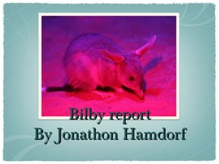 Bilby reportBilby report
By Jonathon HamdorfBy Jonathon Hamdorf
 