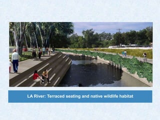 LA River: Terraced seating and native wildlife habitat
 