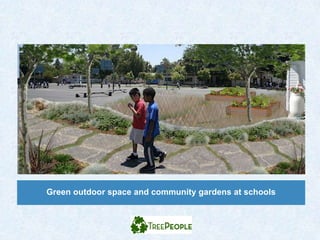 Green outdoor space and community gardens at schools
 