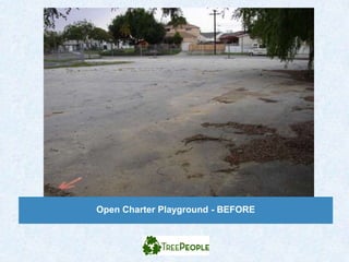 Open Charter Playground - BEFORE
 