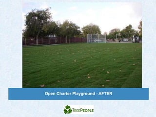 Open Charter Playground - AFTER
 