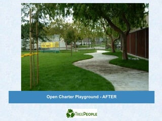 Open Charter Playground - AFTER
 