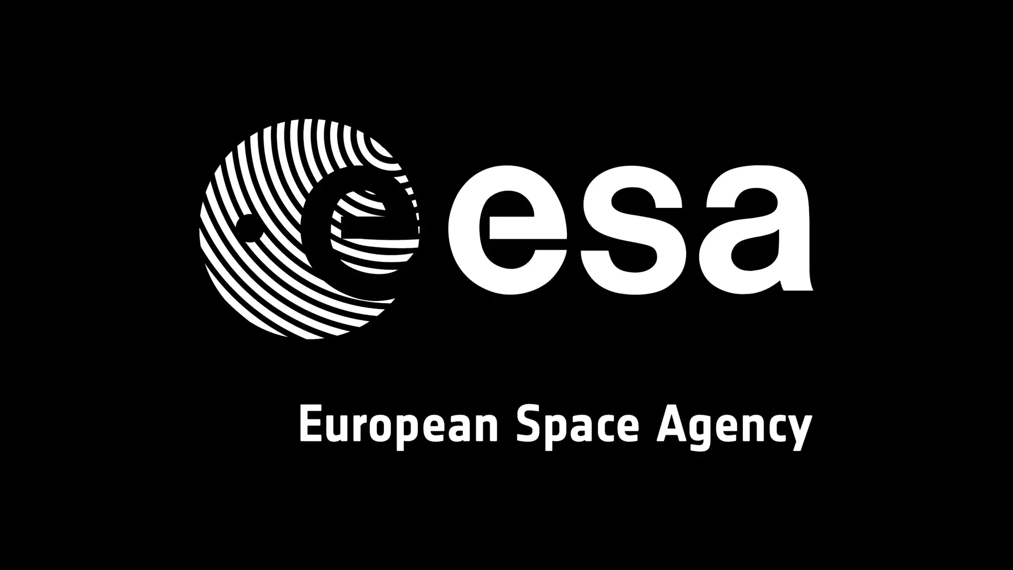 The big data Universe. Literally.