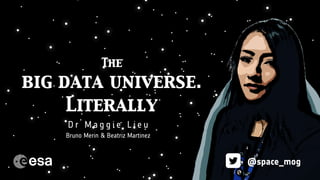 The
Dark Matter
Mystery
The
big data universe.
Literally
D r M a g g i e L i e u
@space_mog
The
big data universe.
Literally
Bruno Merin & Beatriz Martinez
 
