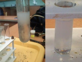 • Jons pierādas ,pieādas
 