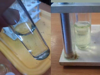 • Jons nepierādas/jons nepierādas
 