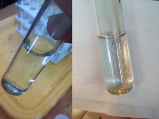 • Bilde ( jons nepierādas) jons pierādas
 