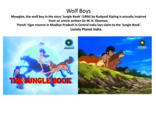 Wolf Boys
Mowglee, the wolf boy in the story 'Jungle Book' (1894) by Rudyard Kipling is actually inspired
from an article written Sir W. H. Sleeman.
'Pench' tiger reserve in Madhya Pradesh in Central India lays claim to the 'Jungle Book'.
Lonely Planet India.
 