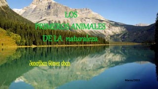 LOS
PRIMEROS ANIMALES
DE LA naturaleza
Jonathan Gómez chan
Marzo/2015
 