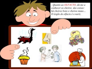 - Quanto ao OLFACTO, dá-me a
conhecer os cheiros das coisas:
há cheiros bons e cheiros maus…
O órgão do olfacto é o nariz.
 