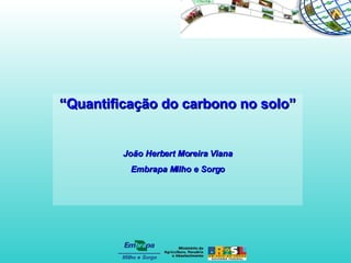 “ Quantificação do carbono no solo” João Herbert Moreira Viana Embrapa Milho e Sorgo 