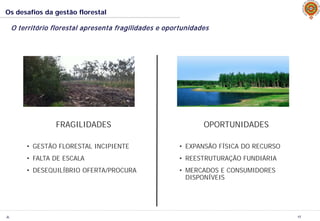JL
Os desafios da gestão florestal
17
O território florestal apresenta fragilidades e oportunidades
FRAGILIDADES
• GESTÃO FLORESTAL INCIPIENTE
• FALTA DE ESCALA
• DESEQUILÍBRIO OFERTA/PROCURA
OPORTUNIDADES
• EXPANSÃO FÍSICA DO RECURSO
• REESTRUTURAÇÃO FUNDIÁRIA
• MERCADOS E CONSUMIDORES
DISPONÍVEIS
 